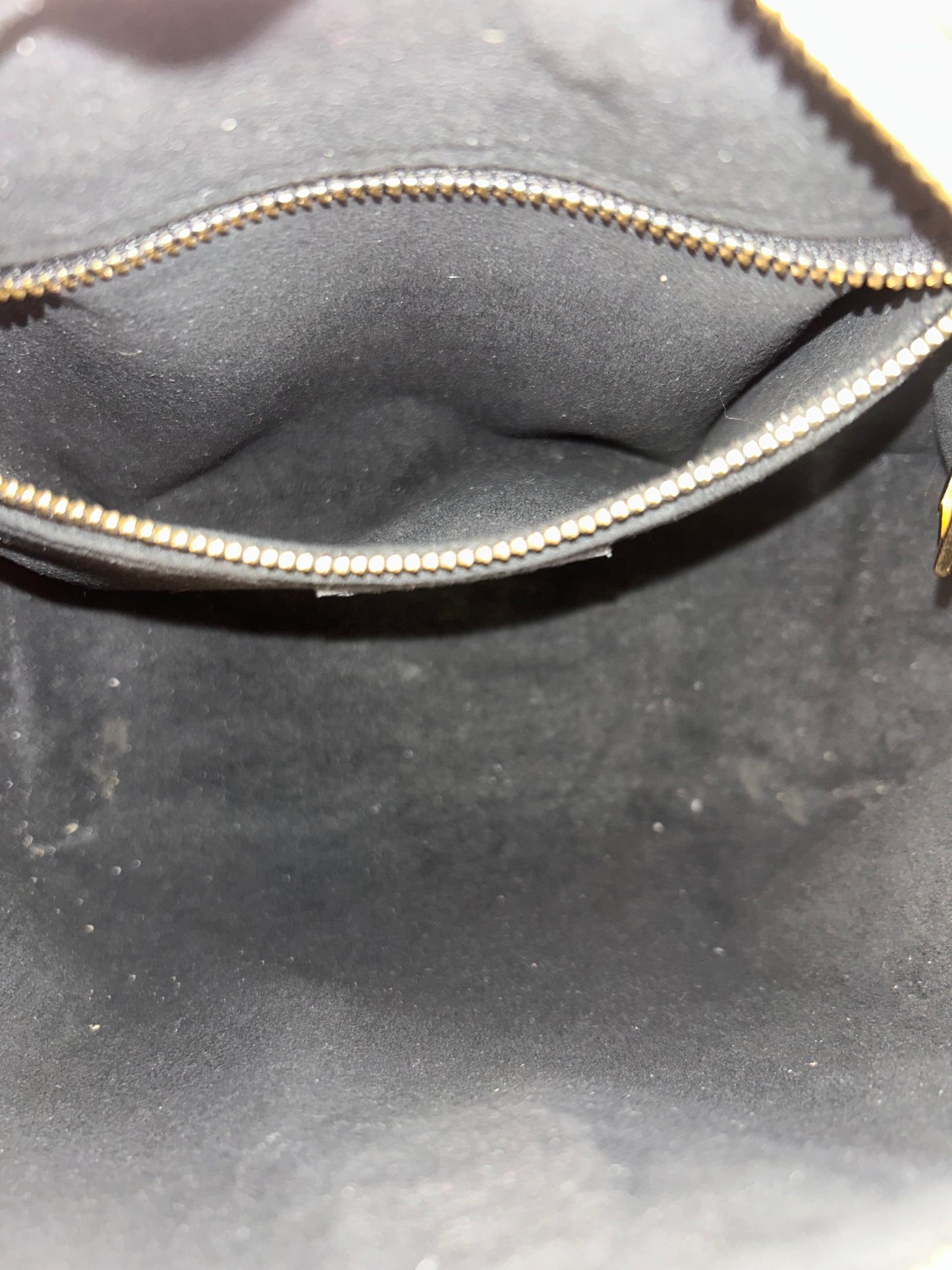 Petite Malle Souple Monogram