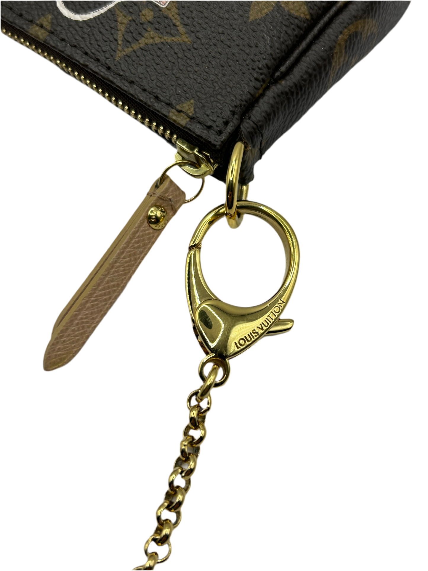 Louis Vuitton Mini Pochette Accessoires