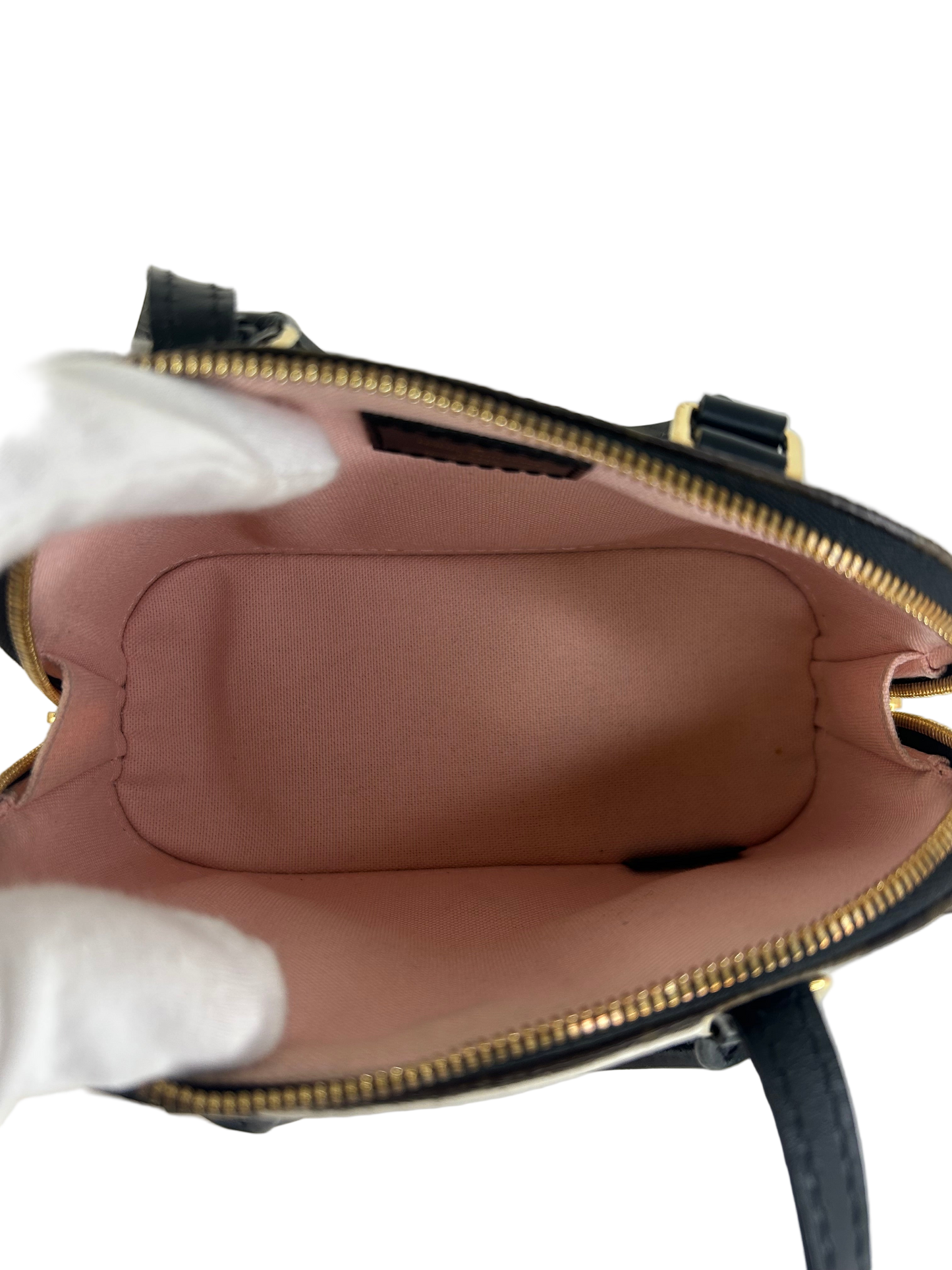 Louis Vuitton Lovely Birds Nano Alma